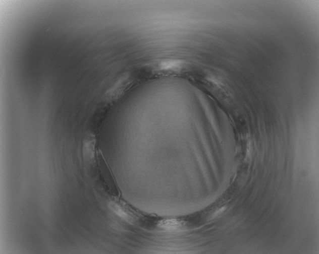 X0000066950231200604071946