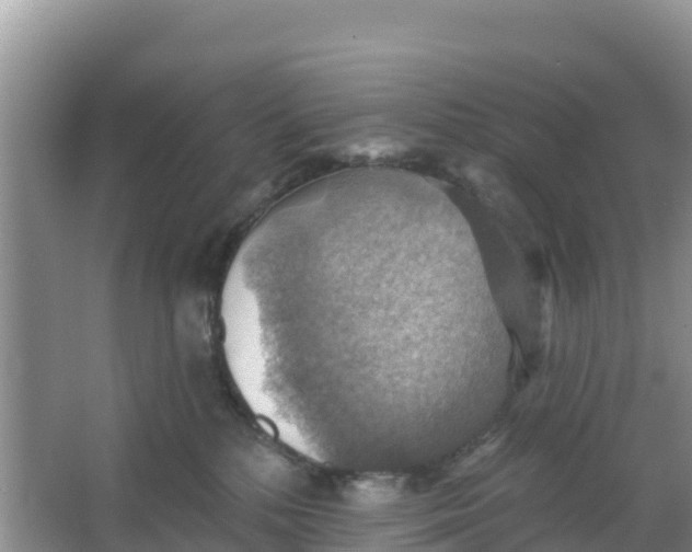 X0000066950232200604071946