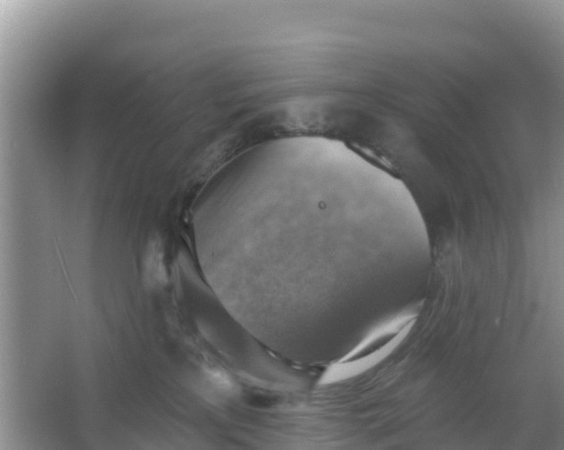 X0000066950233200604071946