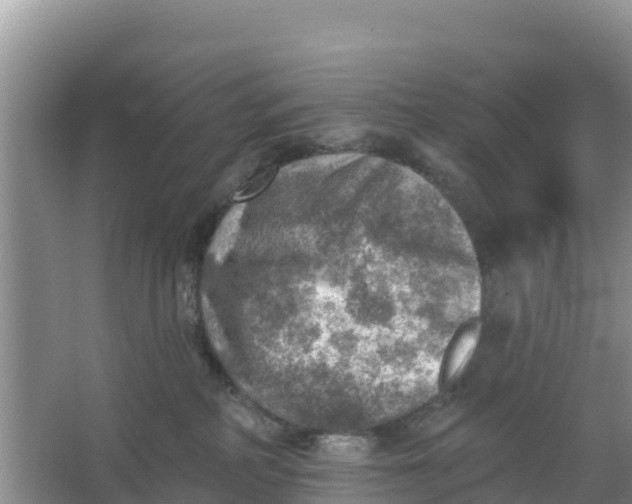 X0000066950234200604071946