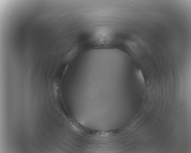 X0000066950235200604071946