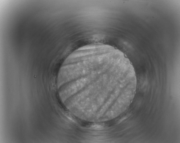 X0000066950236200604071946