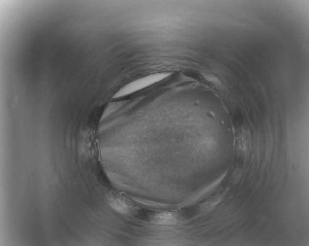 X0000066950237200604071946