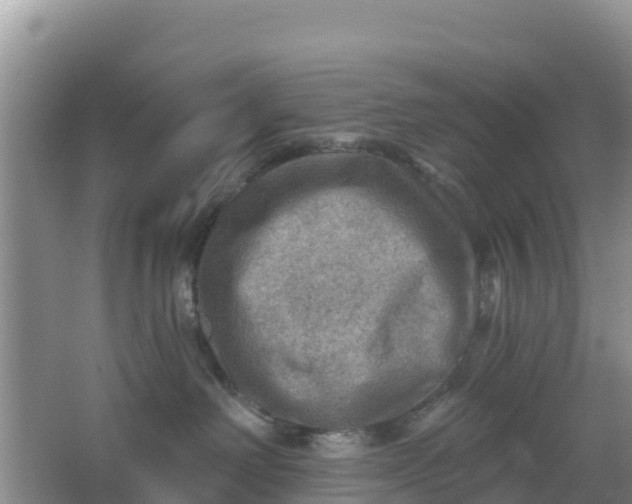 X0000066950238200604071946