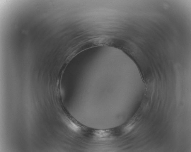 X0000066950239200604071946