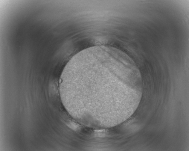 X0000066950240200604071946