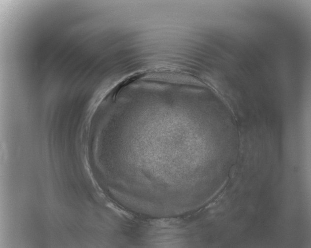 X0000066950241200604071945