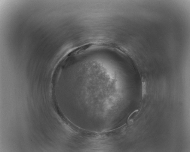 X0000066950243200604071945