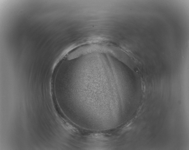 X0000066950244200604071946