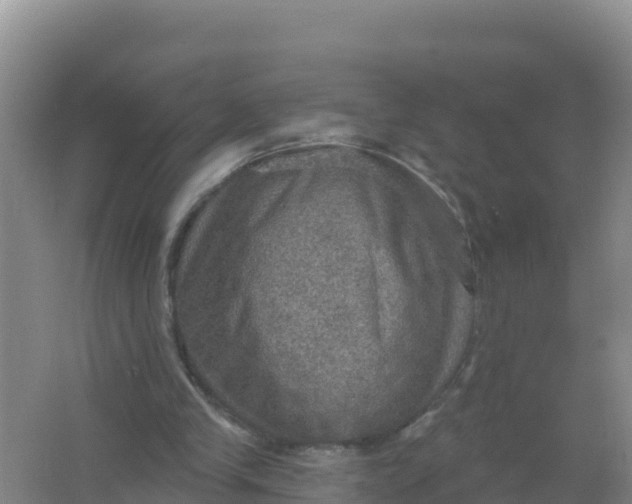 X0000066950245200604071946