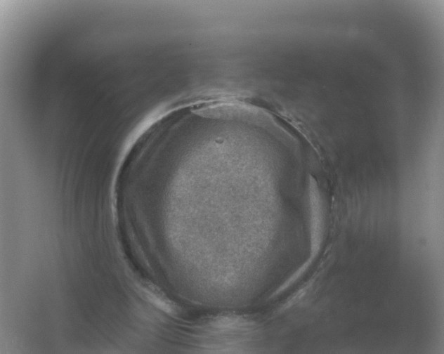 X0000066950246200604071946