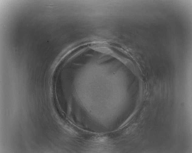 X0000066950247200604071946