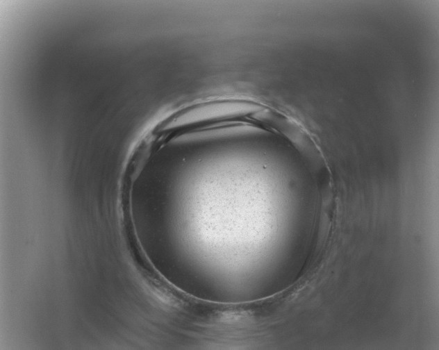 X0000066950248200604071946