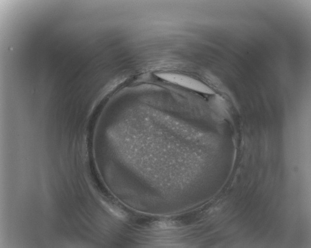 X0000066950250200604071946