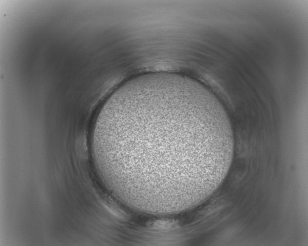 X0000066950251200604071946