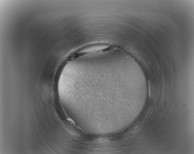 X0000066950252200604071946