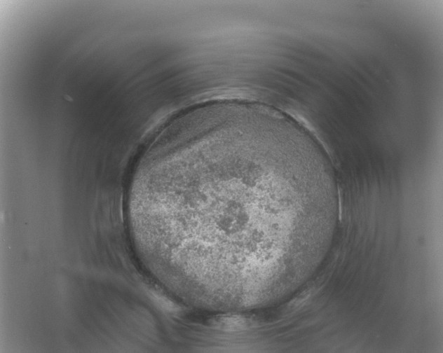 X0000066950253200604071946