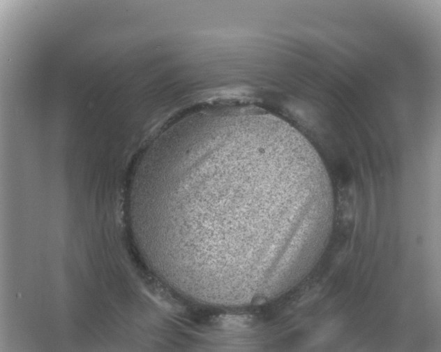 X0000066950255200604071946