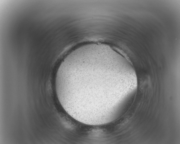 X0000066950256200604071946