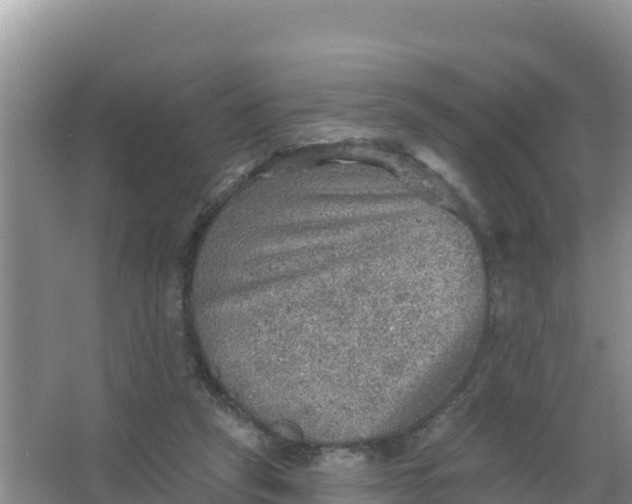 X0000066950257200604071946