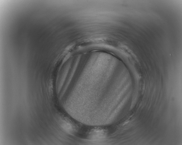 X0000066950260200604071946