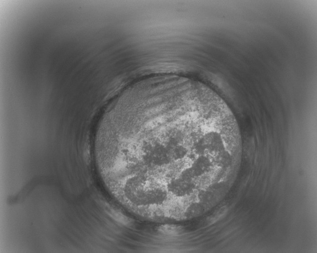 X0000066950261200604071946