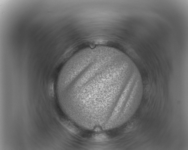 X0000066950262200604071946