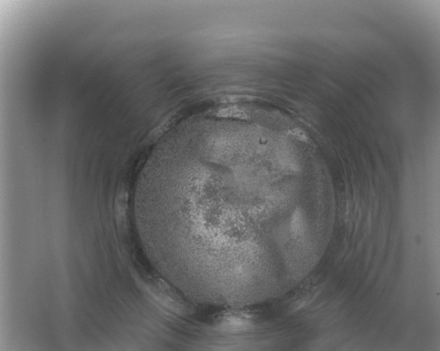 X0000066950263200604071946