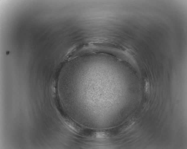 X0000066950264200604071946