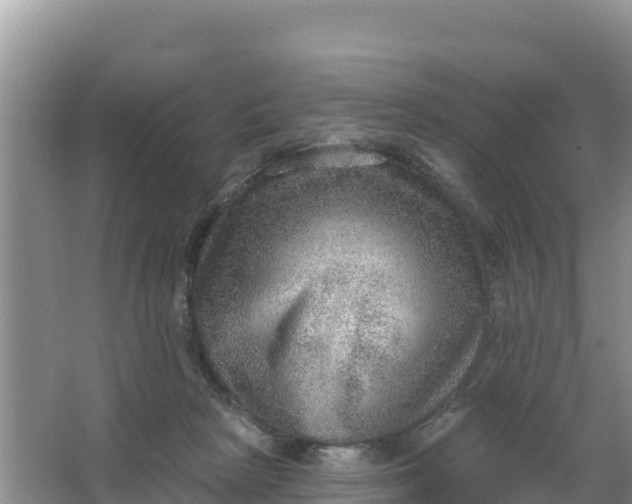 X0000066950265200604071946