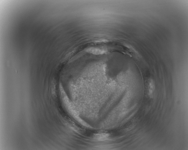 X0000066950266200604071946