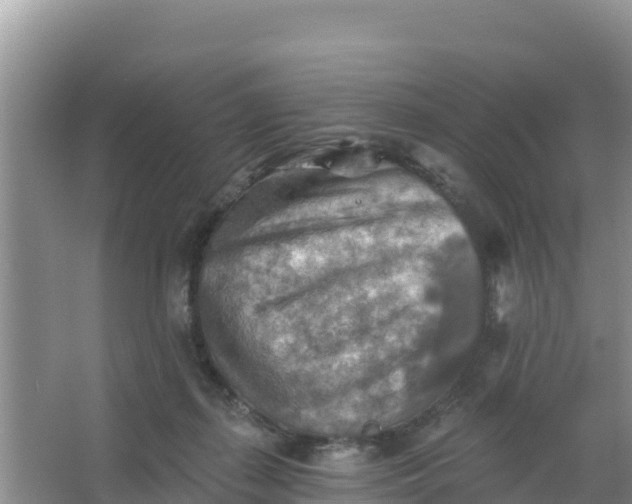 X0000066950267200604071946