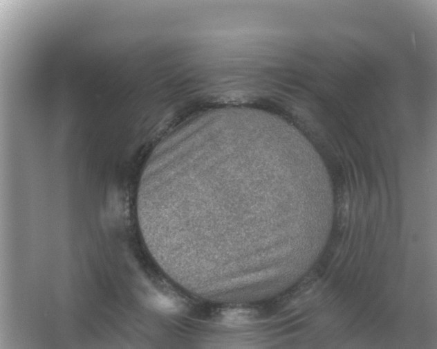 X0000066950268200604071946