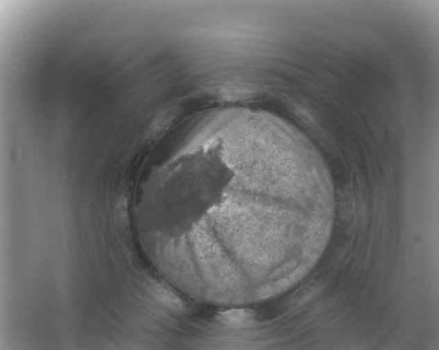 X0000066950269200604071946