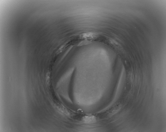 X0000066950271200604071946