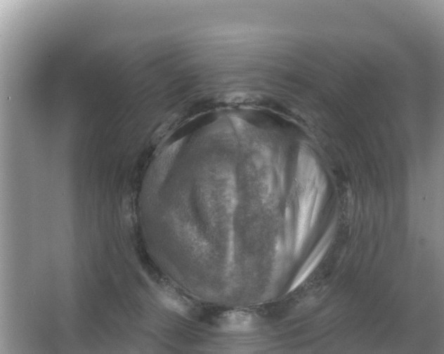 X0000066950272200604071946