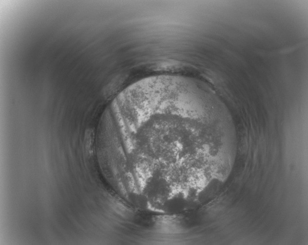 X0000066950273200604071946