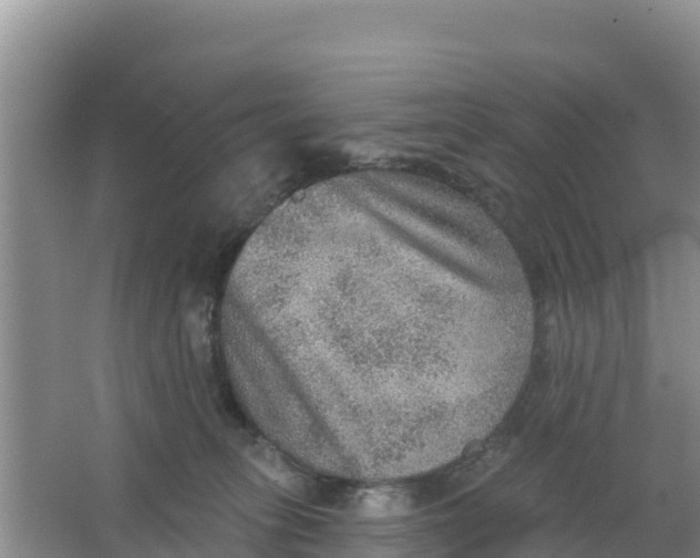 X0000066950275200604071946