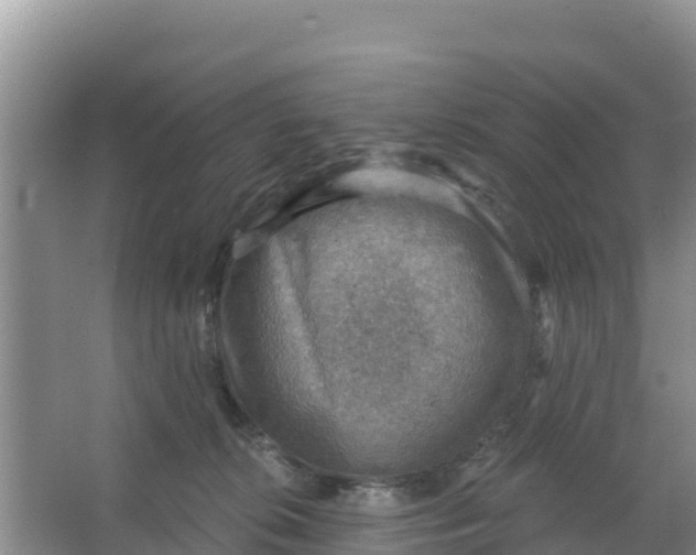 X0000066950276200604071946