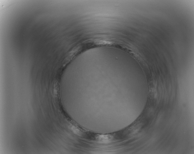 X0000066950277200604071946