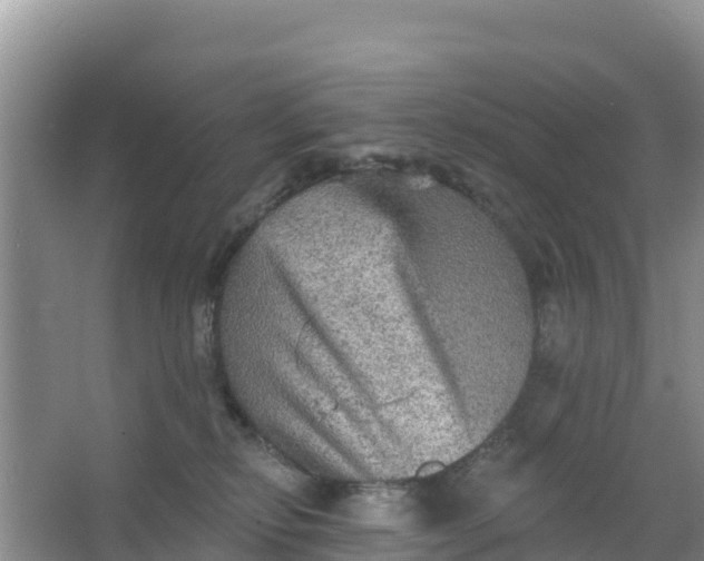 X0000066950278200604071946