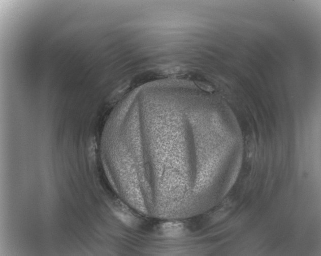 X0000066950279200604071946