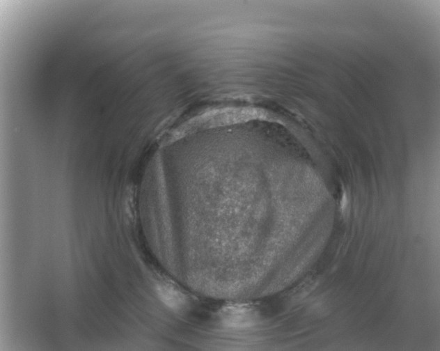 X0000066950280200604071946