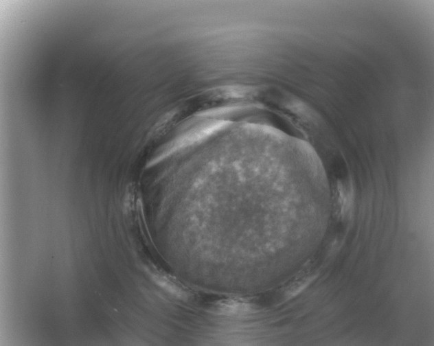 X0000066950284200604071946