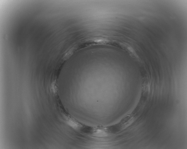 X0000066950285200604071946