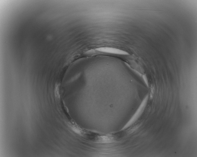 X0000066950286200604071946