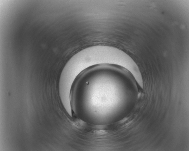 X0000066950287200604071946