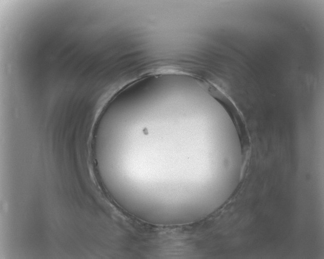 X0000066950289200604071945