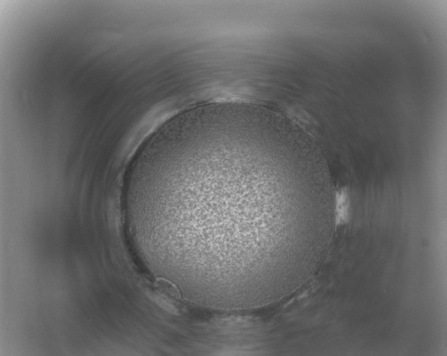 X0000066950291200604071945