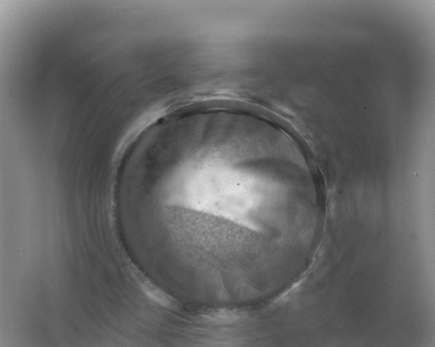 X0000066950293200604071945